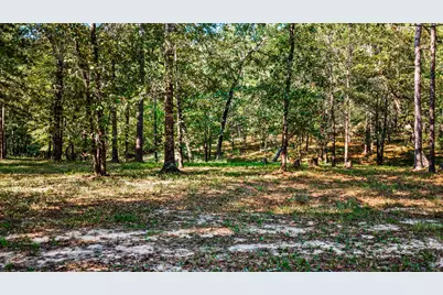 834 County Road, Goodrich, TX 77335 - Photo 49