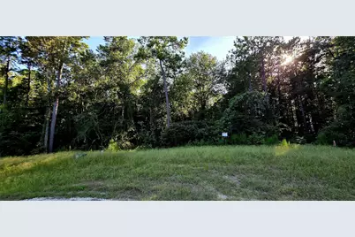 107 Romantic Dreams Ct Court, Huntsville, TX 77340 - Photo 1