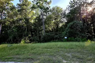 107 Romantic Dreams Ct Ct, Huntsville, TX 77340 - Photo 1