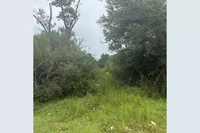 0 Highway 35 Off, Alvin, TX 77511 - Photo 7