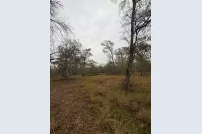 0 Tierra Grande Drive, Needville, TX 77461 - Photo 9