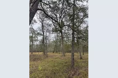 0 Tierra Grande Drive, Needville, TX 77461 - Photo 13