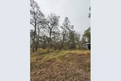 0 Tierra Grande Drive, Needville, TX 77461 - Photo 17