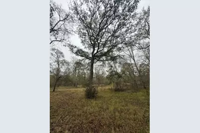 0 Tierra Grande Drive, Needville, TX 77461 - Photo 5