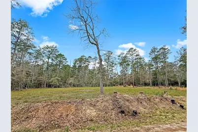 252 Amblewood Drive, Brookeland, TX 75931 - Photo 1