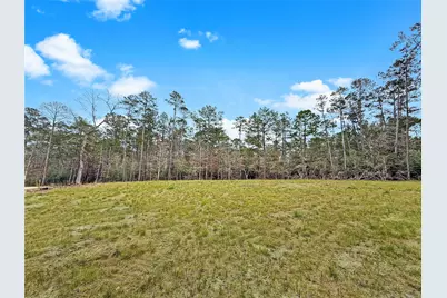 252 Amblewood Drive, Brookeland, TX 75931 - Photo 5