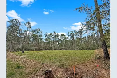 252 Amblewood Drive, Brookeland, TX 75931 - Photo 3