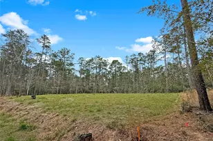 252 Amblewood Dr, Brookeland, TX 75931 - Photo 3