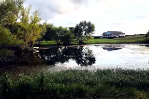 2258 County Rd 316, Navasota, TX 77868 - Photo 43