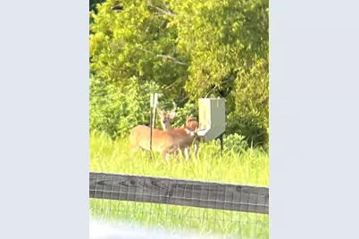 2258 County Road 316, Navasota, TX 77868 - Photo 41