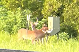 2258 County Rd 316, Navasota, TX 77868 - Photo 41