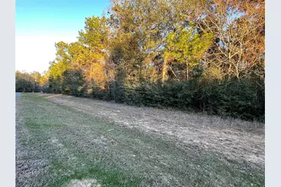 28921 Mustang Drive, Waller, TX 77484 - Photo 7