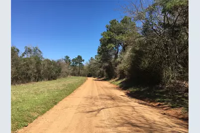 Lot 15 County Road 175, Garrison, TX 75946 - Photo 3