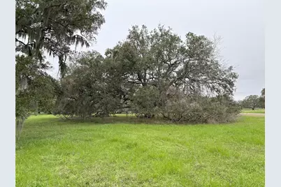 0 Old Henry Court, Angleton, TX 77515 - Photo 7