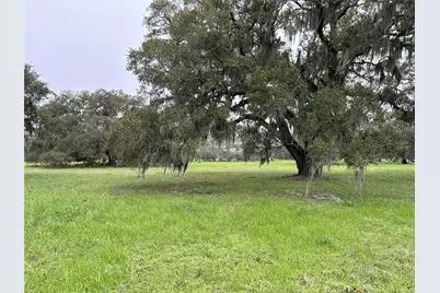 0 Old Henry Court, Angleton, TX 77515 - Photo 9