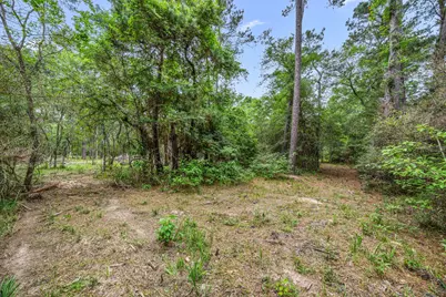 26020 Pine Shadows Drive, Hockley, TX 77447 - Photo 13