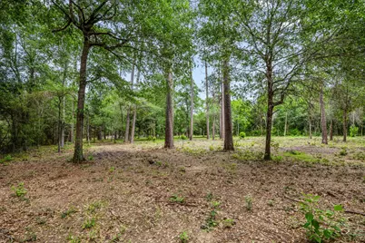 26020 Pine Shadows Drive, Hockley, TX 77447 - Photo 5