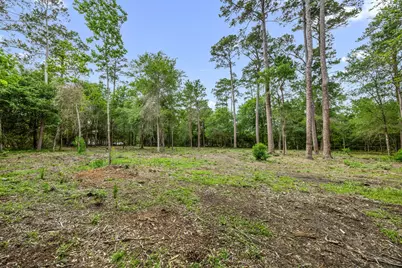 26020 Pine Shadows Drive, Hockley, TX 77447 - Photo 15