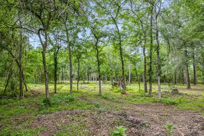 26020 Pine Shadows Drive, Hockley, TX 77447 - Photo 9