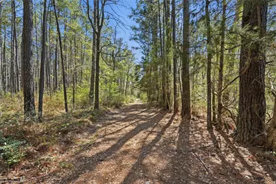 27390 Fm 1097 West, Montgomery, TX 77356 - Photo 9