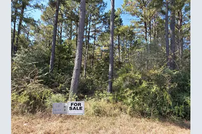 10928 Ruger Road, Willis, TX 77378 - Photo 5