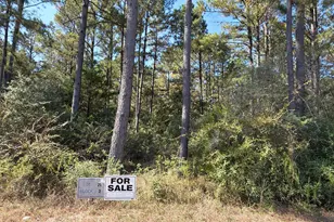 10928 Ruger Rd, Willis, TX 77378 - Photo 5