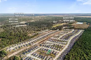 115 Alder Loop, Anahuac, TX 77514 - Photo 35