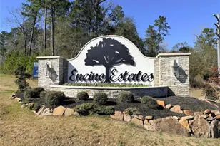 81 Rd 6605, Dayton, TX 77535 - Photo 1