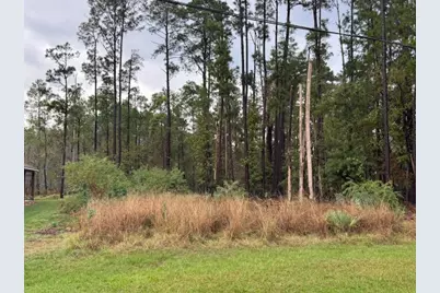 10 Trail Lake, Trinity, TX 75862 - Photo 3