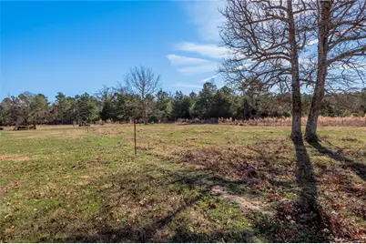868 Rex Bailey Road, Groveton, TX 75845 - Photo 23