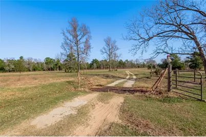 868 Rex Bailey Road, Groveton, TX 75845 - Photo 25