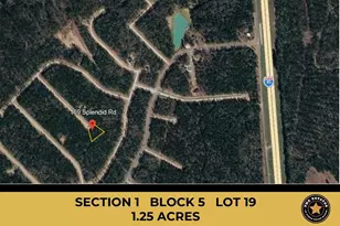 169 Splendid Rd, New Waverly, TX 77358 - Photo 1