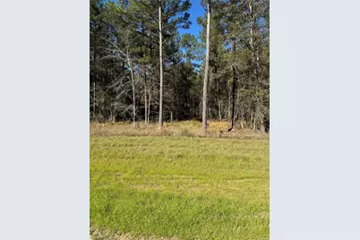 511 Queen Anne Way, Huntsville, TX 77340 - Photo 5