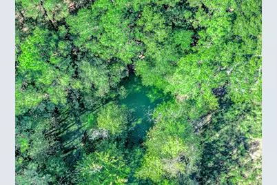 0 County Road 6504, Dayton, TX 77535 - Photo 11