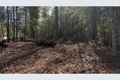 361 E Slumberlane Drive, Livingston, TX 77351 - Photo 7