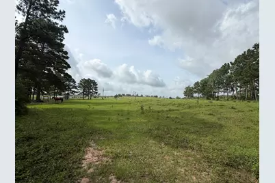 6779 County Road 215, Anderson, TX 77830 - Photo 1