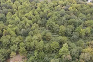 3 Washington, Houston, TX 77088 - Photo 1