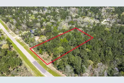 15824 Wood Grove Way, Willis, TX 77378 - Photo 5