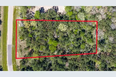 15824 Wood Grove Way, Willis, TX 77378 - Photo 1