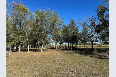 Lot 13 0 Mesquite Road, Wallis, TX 77485 - Photo 3