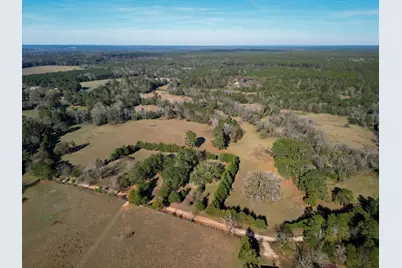 1549 County Road 1650, Grapeland, TX 75844 - Photo 3