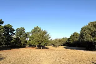 327 Laura Ln, Bastrop, TX 78602 - Photo 15