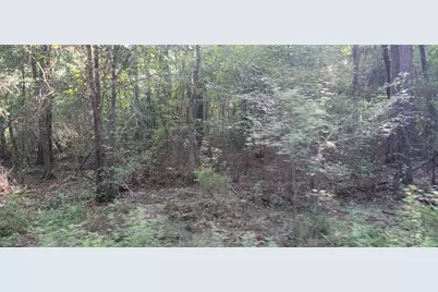 5680 State Highway 43 S, Jefferson, TX 75657 - Photo 9