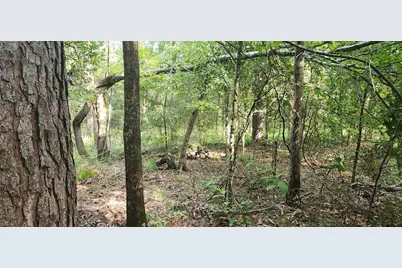 5680 State Highway 43 S, Jefferson, TX 75657 - Photo 17