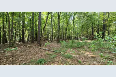 5680 State Highway 43 S, Jefferson, TX 75657 - Photo 23