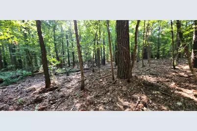 5680 State Highway 43 S, Jefferson, TX 75657 - Photo 19