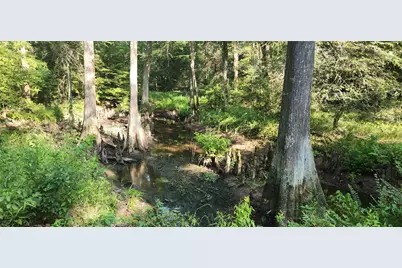 5680 State Highway 43 S, Jefferson, TX 75657 - Photo 13