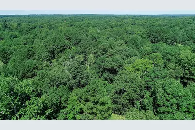 5680 State Highway 43 S, Jefferson, TX 75657 - Photo 47