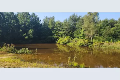 5680 State Highway 43 S, Jefferson, TX 75657 - Photo 5