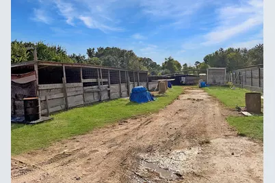 12623 Ann Louise Road, Houston, TX 77086 - Photo 9